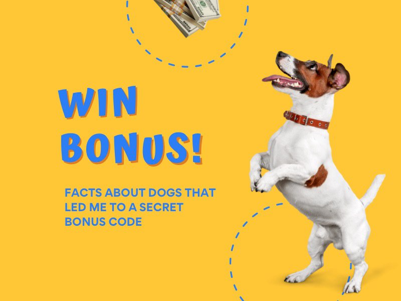 Facts about dogs, which lead to bonus